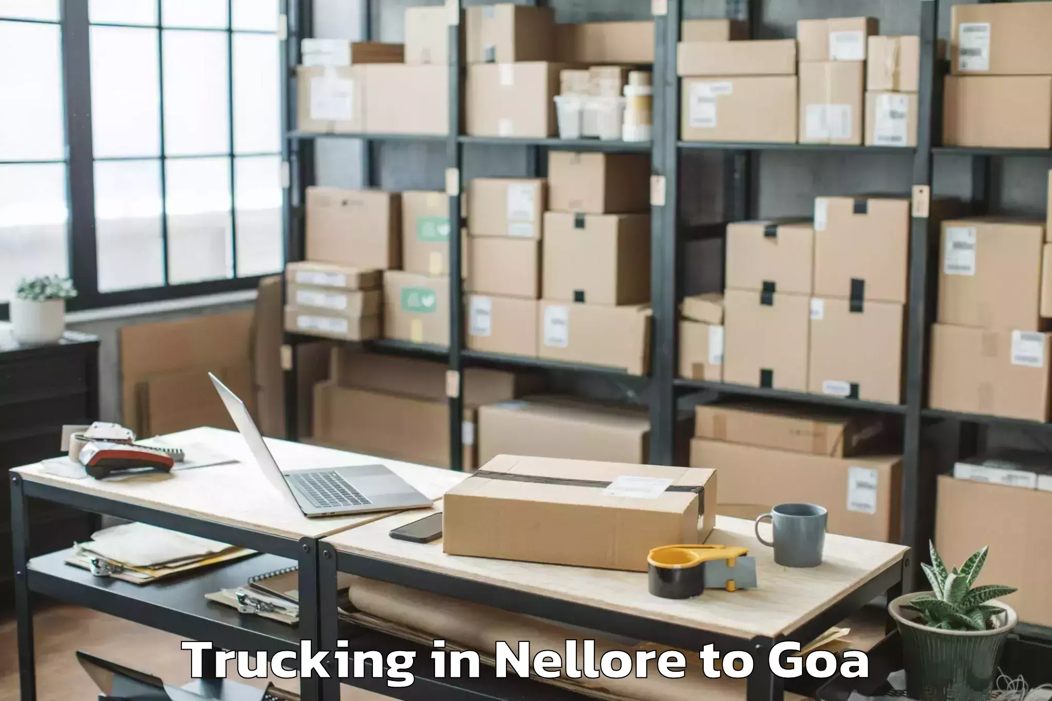 Book Nellore to Mopa Trucking Online